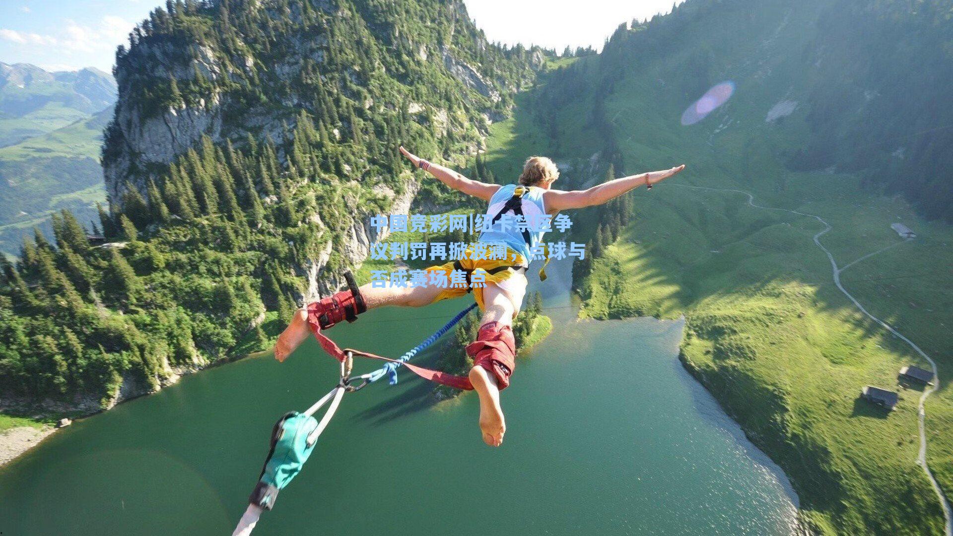 纽卡禁区争议判罚再掀波澜，点球与否成赛场焦点