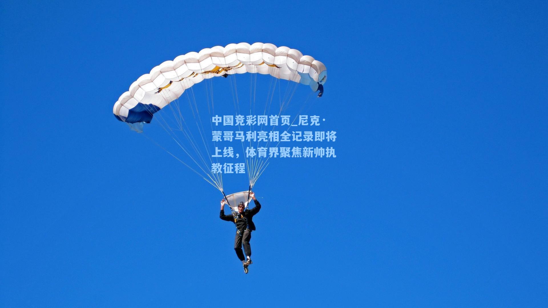 尼克·蒙哥马利亮相全记录即将上线,体育界聚焦新帅执教征程