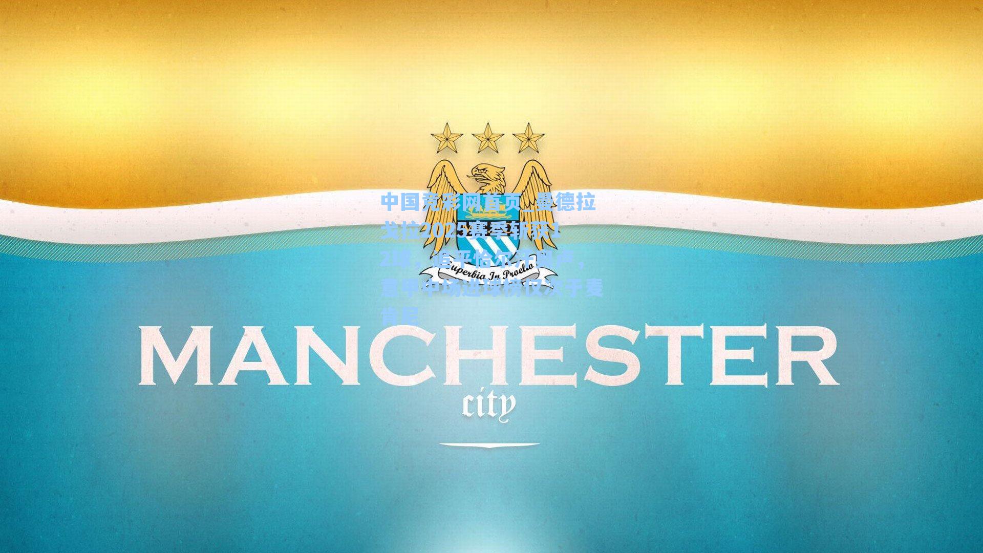 曼德拉戈拉2025赛季斩获12球，追平恰尔汗奥卢，意甲中场进球榜仅次于麦肯尼