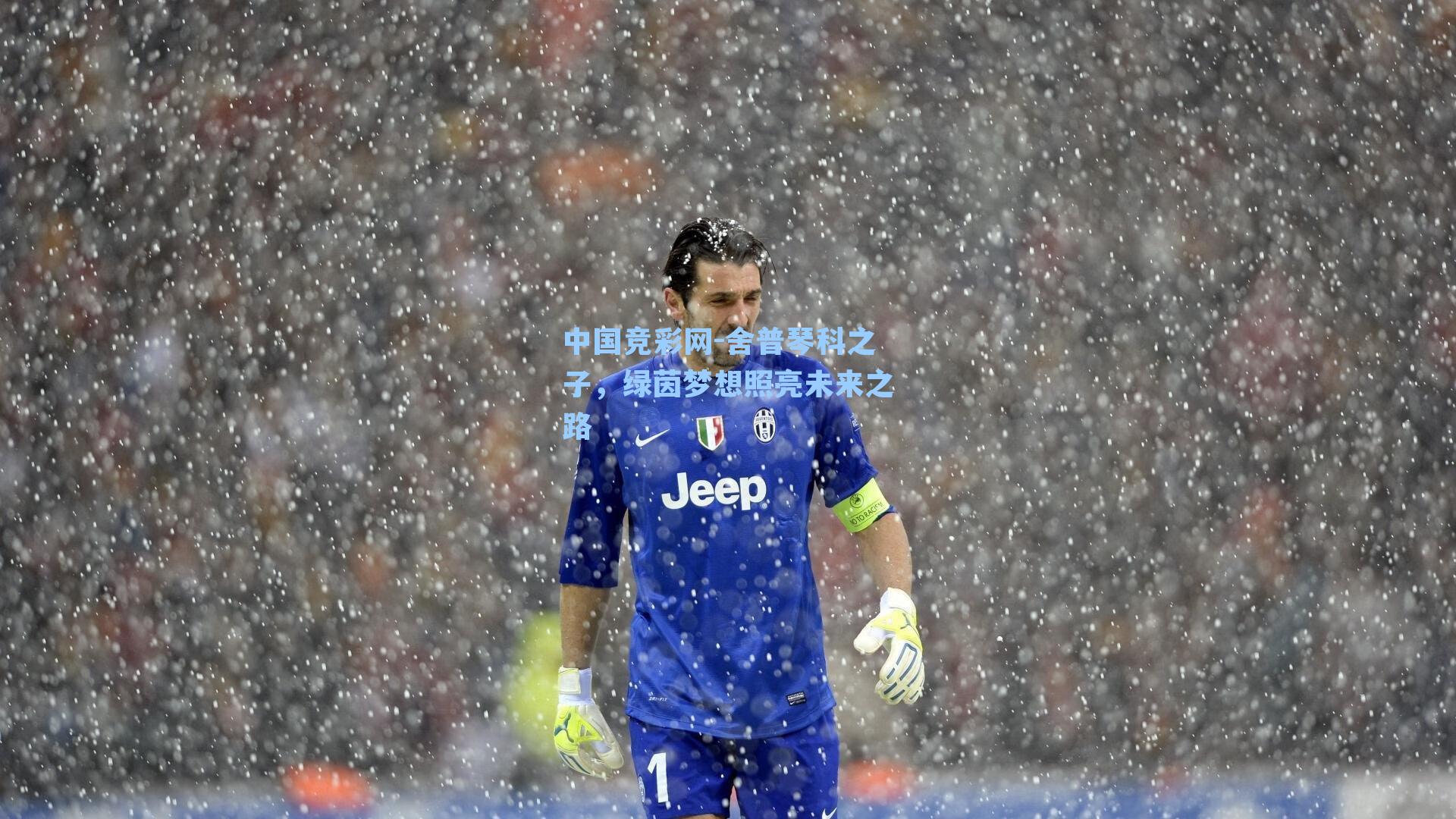 舍普琴科之子，绿茵梦想照亮未来之路